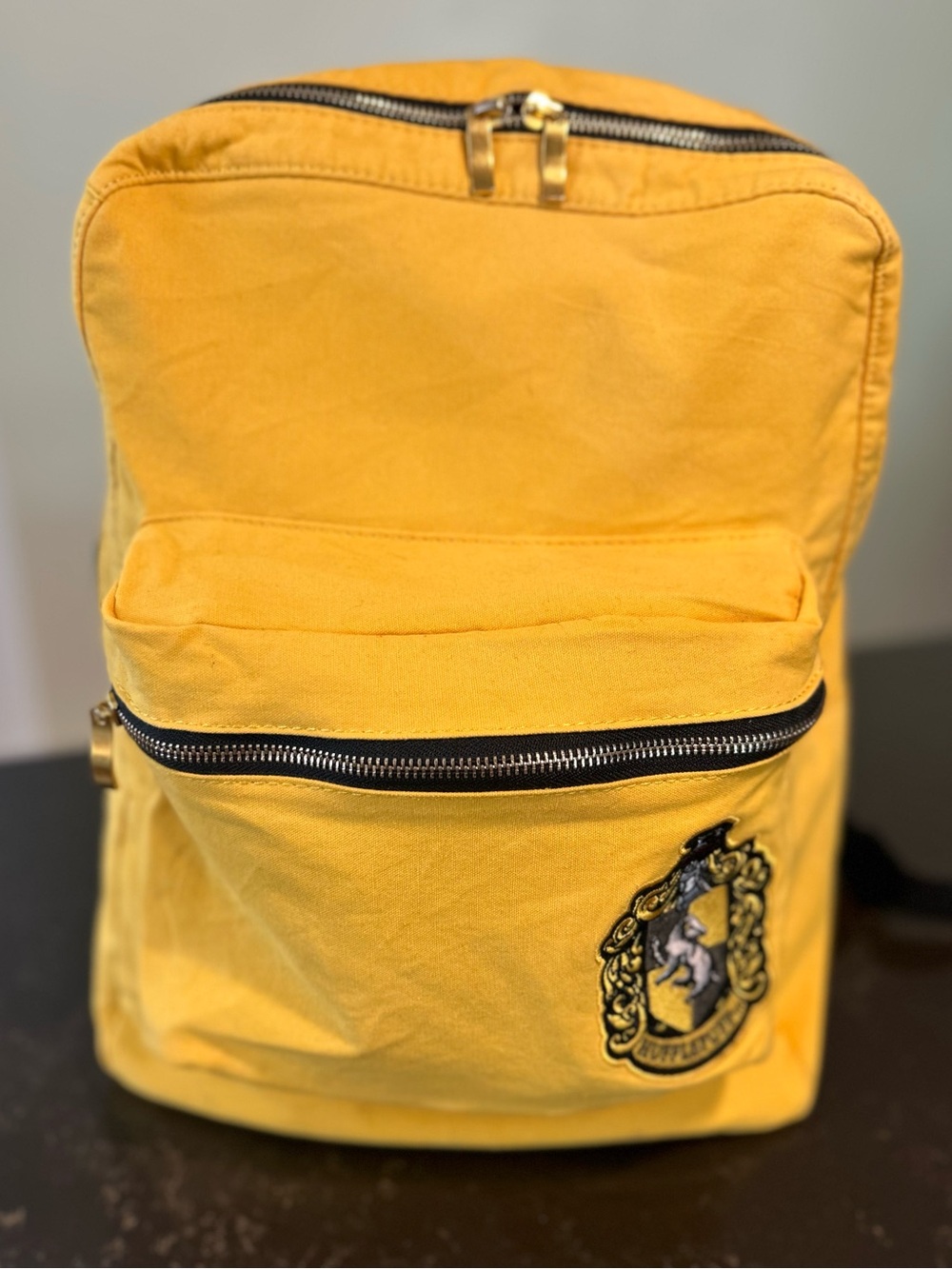 Wizarding World of Harry Potter Hufflepuff Backpack